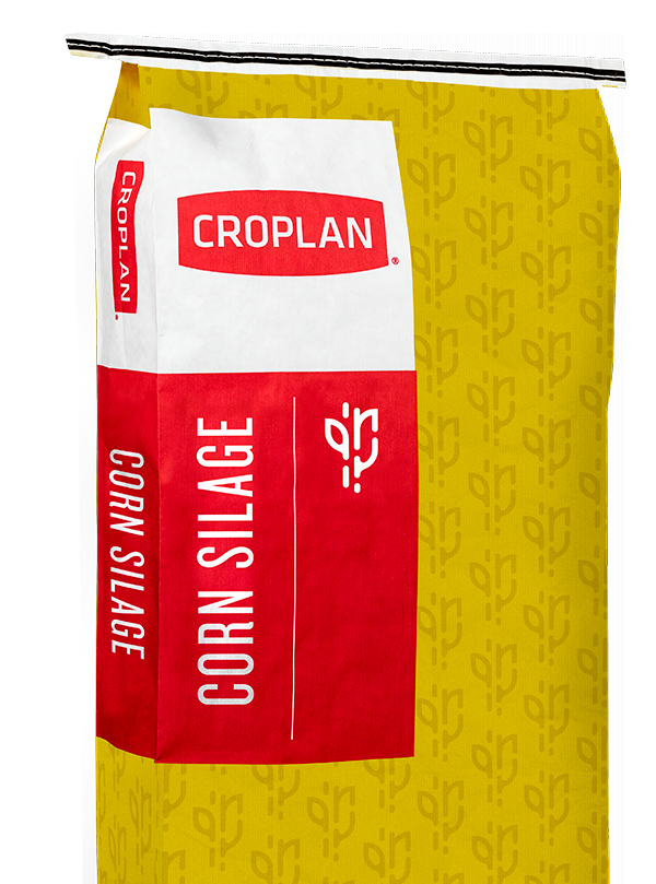 Croplan Corn Silage